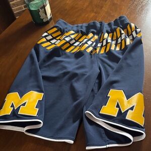 Michigan Wolverines Shorts Mens L NCAA Basketball Adidas Nylon Drawstring